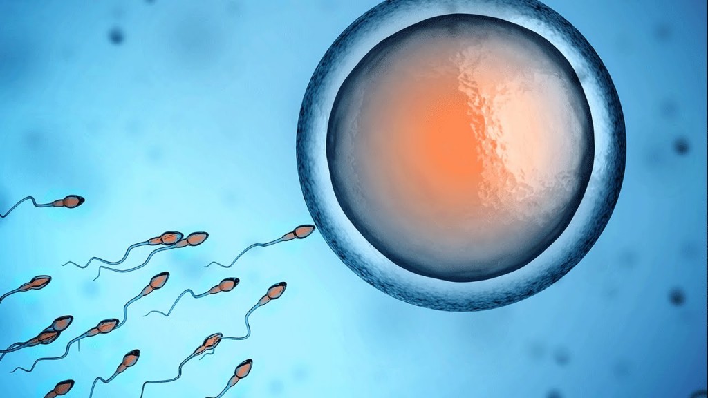 kaliteli sperm kaç günde oluşur Gebelik, Doğum, Bebek, Kadın